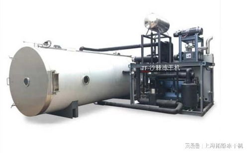 沙棘凍干粉技術(shù)和沙棘凍干機(jī)設(shè)備